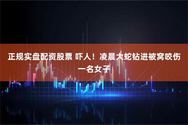 正规实盘配资股票 吓人！凌晨大蛇钻进被窝咬伤一名女子