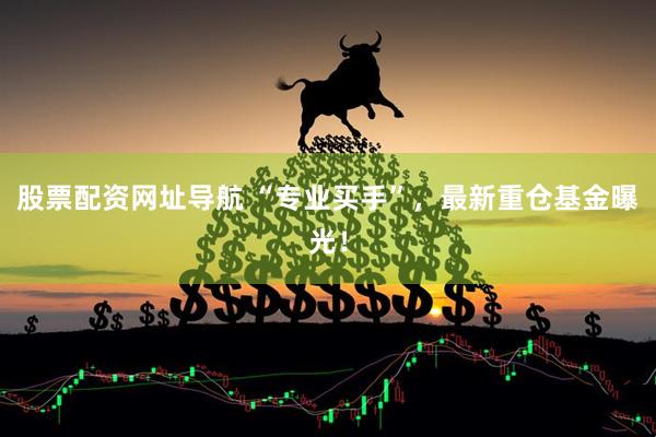股票配资网址导航 “专业买手”，最新重仓基金曝光！