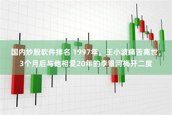 国内炒股软件排名 1997年，王小波痛苦离世，3个月后与他相爱20年的李银河梅开二度